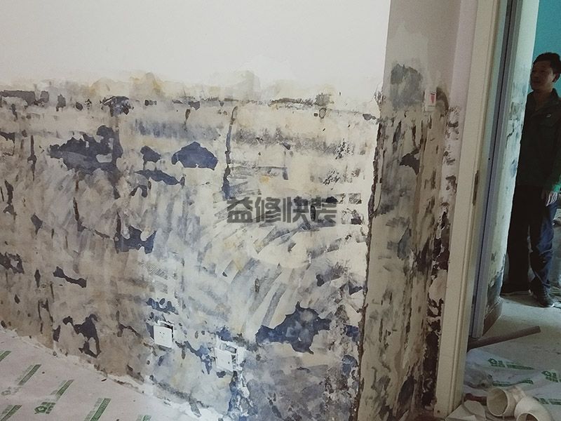 卫生间墙角渗水到客厅墙面，墙皮有脱落迹象，维修措施有哪些